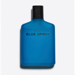 Zara Blue Spirit 90ml Парфуми чоловічі