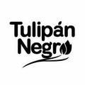 Tulipan Negro