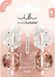 Invisibobble Clipstar Petit Bijoux Заколока для волосся 1шт ЦБ-00032726 фото 1