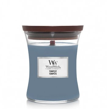 Woodwick Medium Tempest 275г ЦБ-00033750 фото