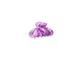 Invisibobble Clipstar My Rainboo Заколка для волосся 1шт ЦБ-00032724 фото 1
