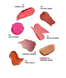 House of Hur Every Cheek Blush 04 Ballet Slipper Кремовий стік румяна ЦБ-00041346 фото 3