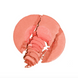 Charlotte Tilbury Cheek to Chic Swish Pop Blusher Ecstasy Румяна ЦБ-00038276 фото 2